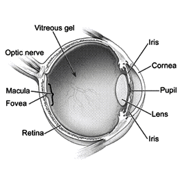 Diagram - Refraction